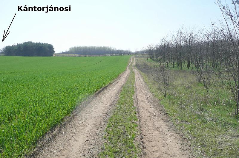 akk 47.JPG
